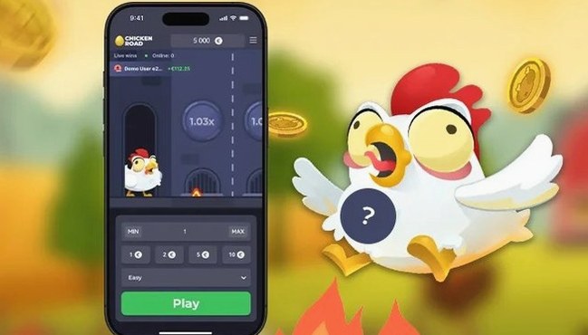 Chicken Road demo